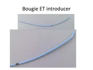 Bougie ET introducer