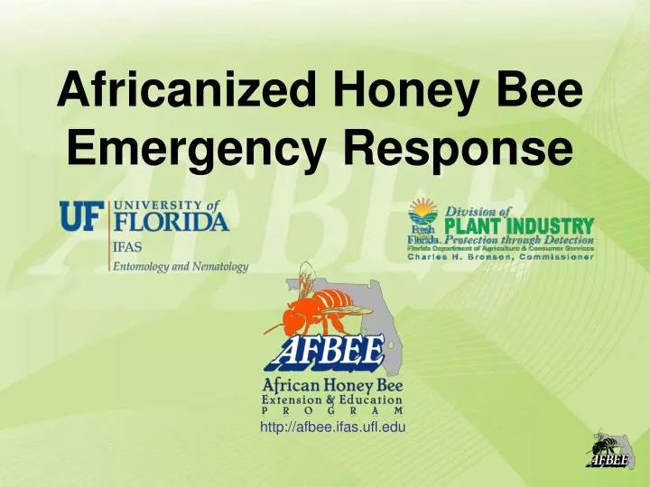 africanized honey bee emergency response