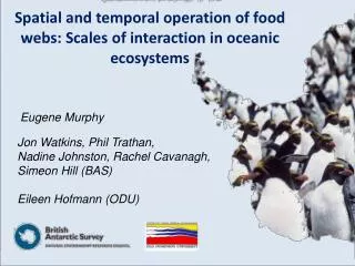 Spatial and temporal operation of food webs: Scales of interaction in oceanic ecosystems