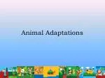 Animal Adaptations - slide 1