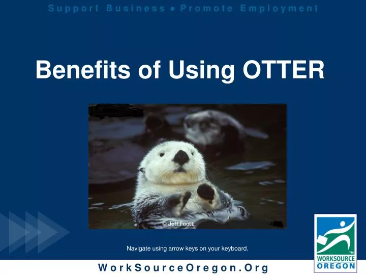 benefits of using otter