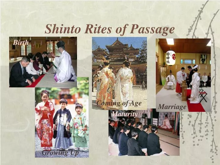 shinto rites of passage