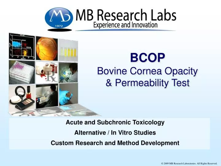 bcop bovine cornea opacity permeability test