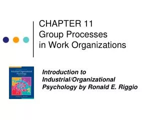 CHAPTER 11 Group Processes in Work Organizations