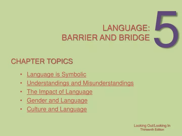 language barrier and bridge
