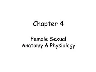 Chapter 4 Female Sexual Anatomy &amp; Physiology