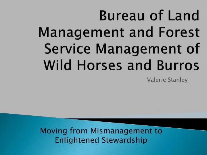 bureau of land management and forest service management of wild horses and burros