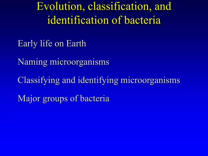 evolution classification and identification of bacteria