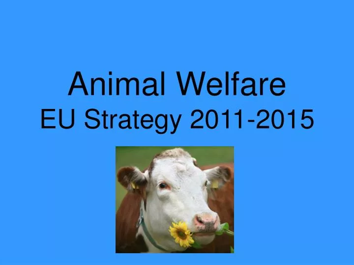 animal welfare eu strategy 2011 2015