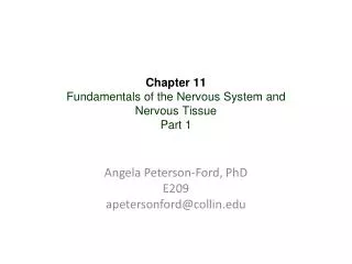 Chapter 11 Fundamentals of the Nervous System and Nervous Tissue Part 1
