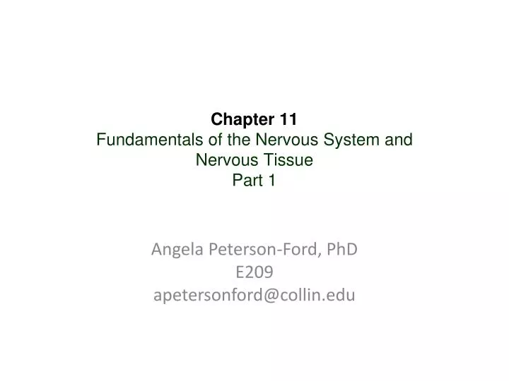 chapter 11 fundamentals of the nervous system and nervous tissue part 1
