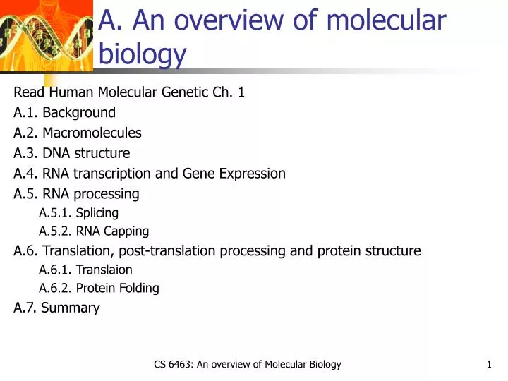 a an overview of molecular biology