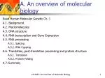 A. An overview of molecular biology