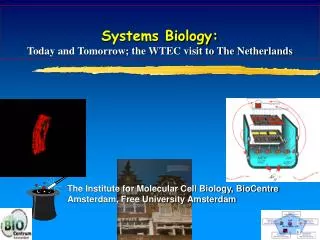 Systems Biology: Today and Tomorrow; the WTEC visit to The Netherlands