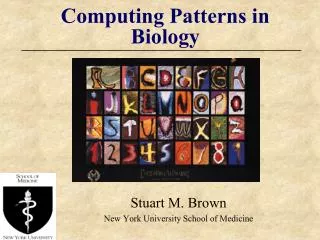 Computing Patterns in Biology