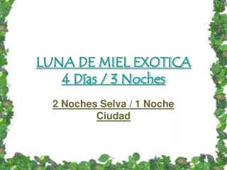 LUNA DE MIEL EXOTICA 4 Días / 3 Noches