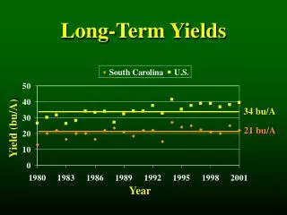 Long-Term Yields