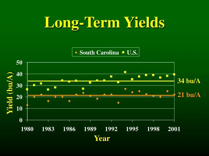 long term yields