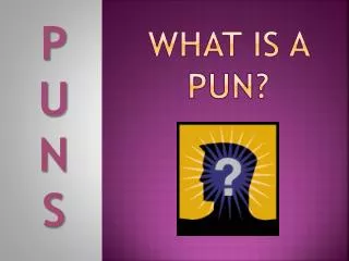 WHAT IS A PUN?