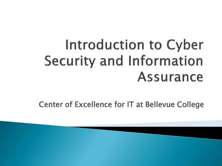 introduction to cyber security and information assurance