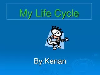 My Life Cycle