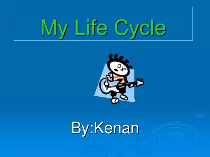 my life cycle