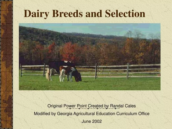 dairy breeds and selection