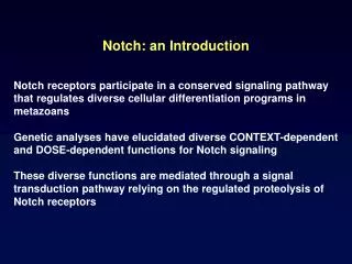 Notch: an Introduction
