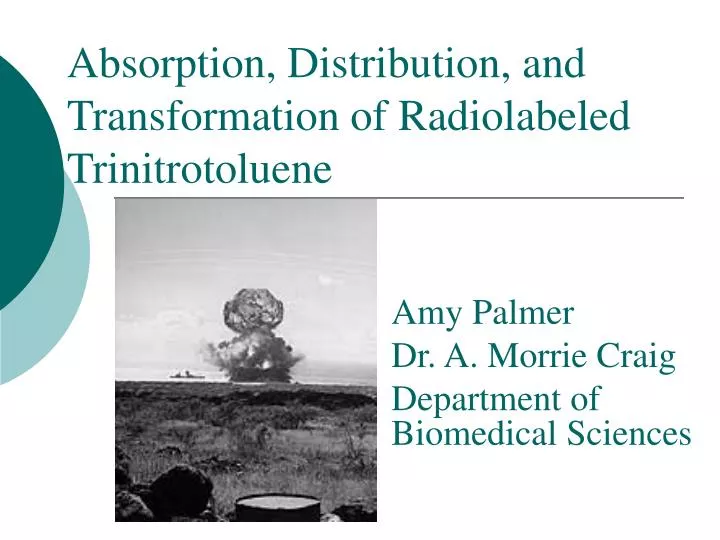 absorption distribution and transformation of radiolabeled trinitrotoluene