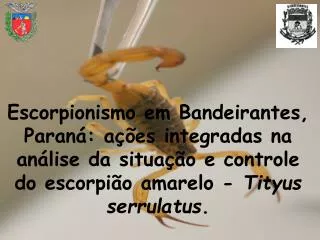 Escorpionismo em Bandeirantes, Paraná: ações integradas na análise da situação e controle do escorpião amarelo - Tityus