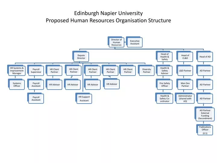 edinburgh napier university proposed human resources organisation structure