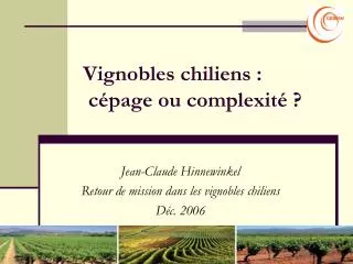 Vignobles chiliens : cépage ou complexité ?