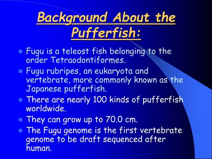 background about the pufferfish