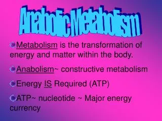 Metabolism is the transformation of energy and matter within the body. Anabolism ~ constructive metabolism Energy IS