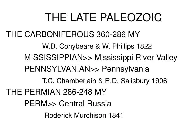 the late paleozoic