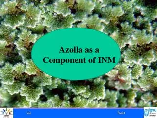 Azolla as a Component of INM