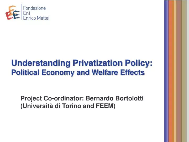 understanding privatization policy political economy and welfare effects