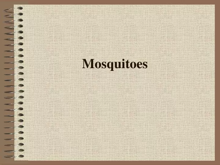 mosquitoes