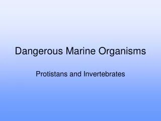 Dangerous Marine Organisms