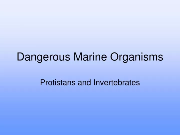 dangerous marine organisms