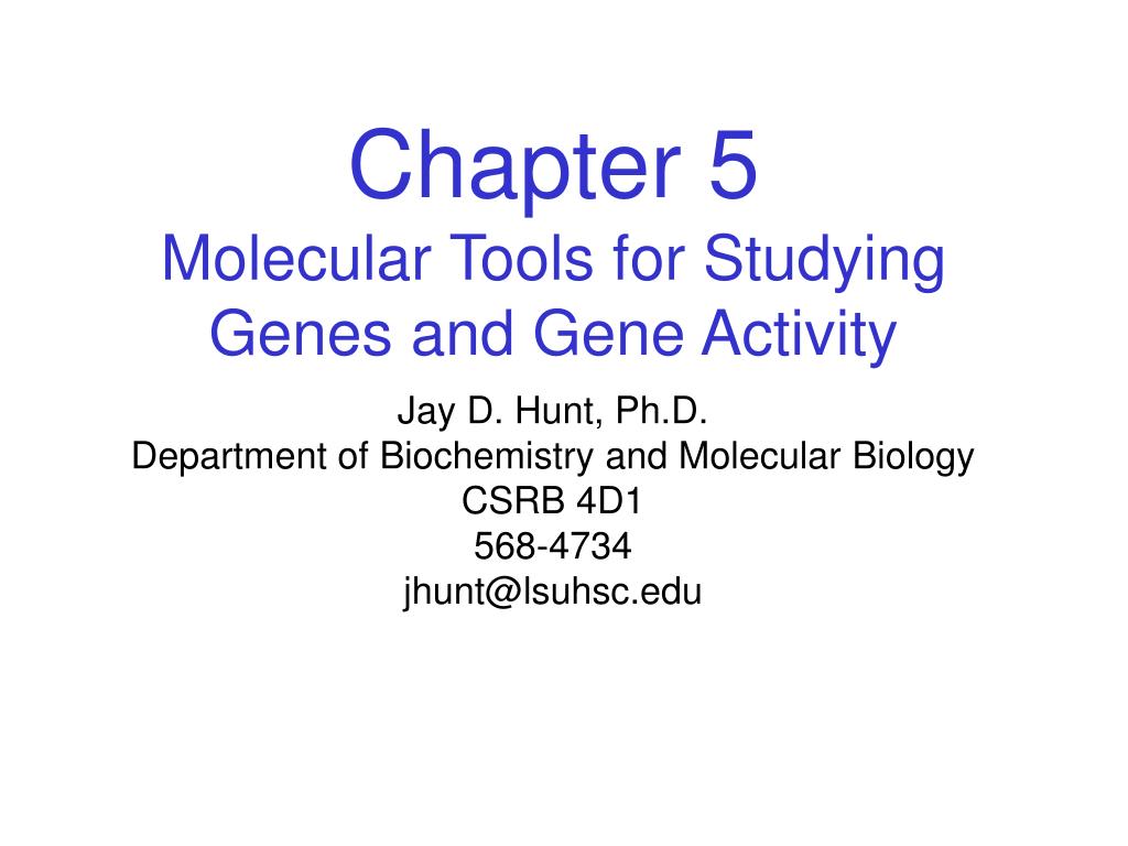 PPT - Chapter 5 Molecular Tools for Studying Genes and Gene Activity ...