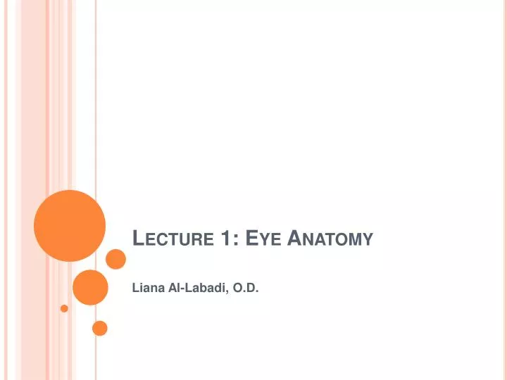 lecture 1 eye anatomy