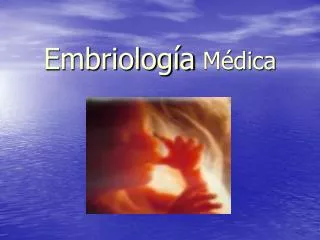 Embriología Médica