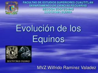 evoluci n de los equinos