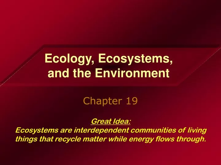 ecology ecosystems and the environment