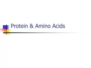 Protein &amp; Amino Acids