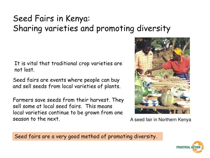 seed fairs in kenya sharing varieties and promoting diversity