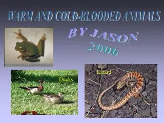 WARM AND COLD-BLOODED ANIMALS