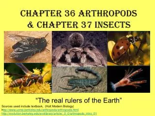 Chapter 36 Arthropods &amp; Chapter 37 Insects