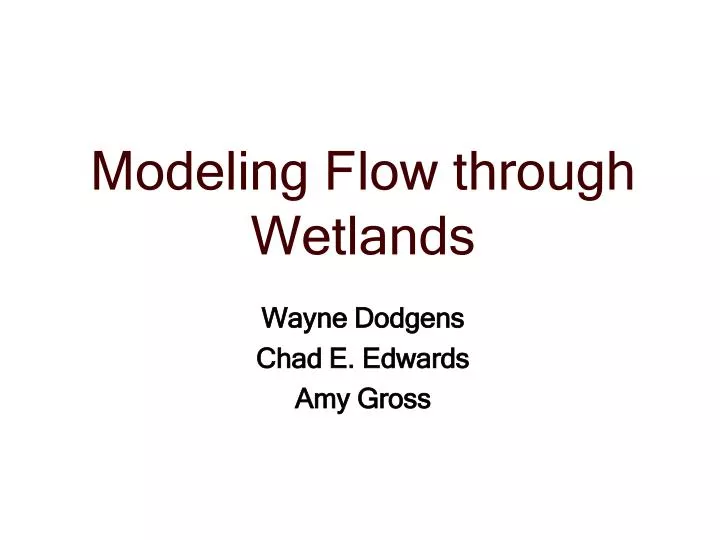 modeling flow through wetlands